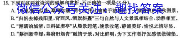 2024届名师原创分科模拟(六)ZS4语文