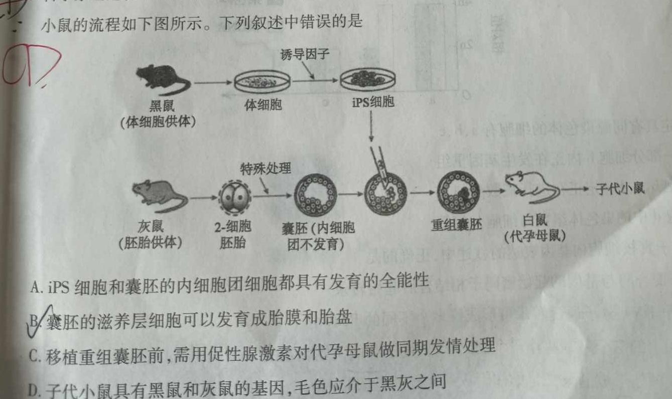 ［衡水大联考］2024届广东省新高三年级8月开学大联考物理试卷及答案生物