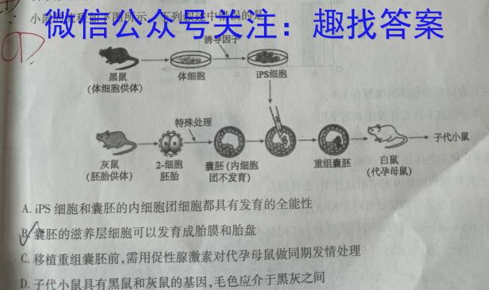 全国大联考2024届高三全国第一次联考 1LK-Y生物试卷答案