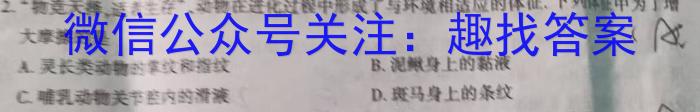 2024届青桐鸣普通高等学校招生全国统一考试青桐鸣大联考(高三)(4月)数学