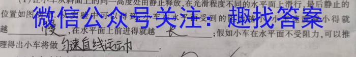 河北省唐山市十县一中联盟2023-2024学年高二上学期11月期中考试数学