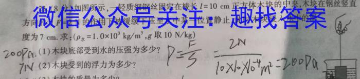 河南省开封市2023-2024学年第一学期九年级调研检测数学