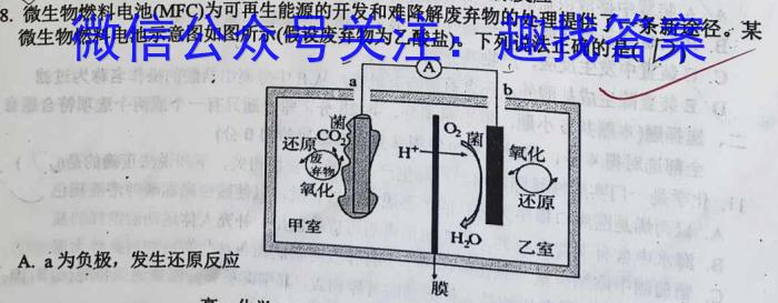 q湖北省高中名校联盟2023-2024学年高三上学期第一次联合测评化学