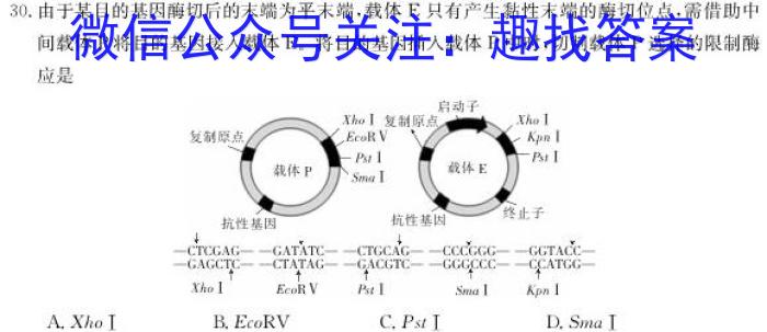 2024届高考滚动检测卷 新教材(一)生物试卷答案