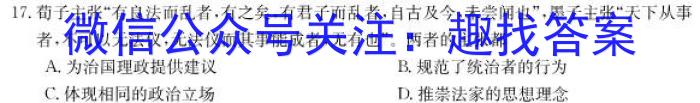 2024届名师原创分科模拟 新S4(一)历史试卷