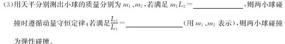 山东省潍坊市2024届高三上学期期末考试数学.考卷答案