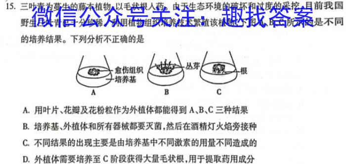 2024届高三第一轮复*周测卷·物理[24·G3ZCJ·物理-HKB-必考-SX](11-15)生物试卷答案