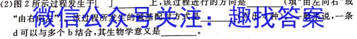 ［衡水大联考］2024届广东省新高三年级8月开学大联考历史试卷及答案生物