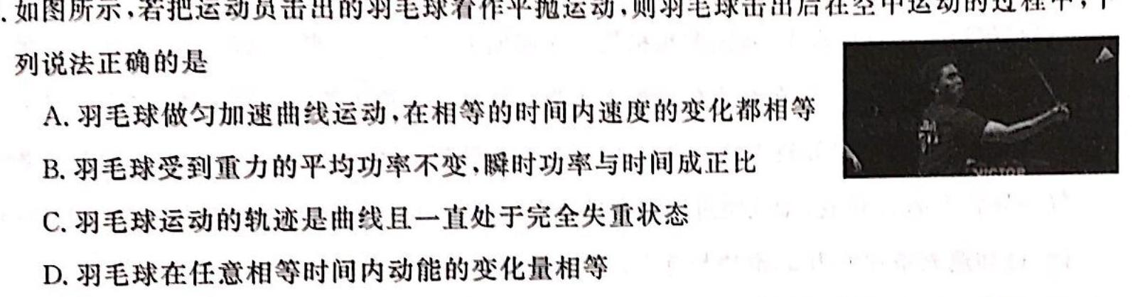 石家庄市2024届普通高中学校毕业年级教学质量摸底检测（11月）数学.考卷答案