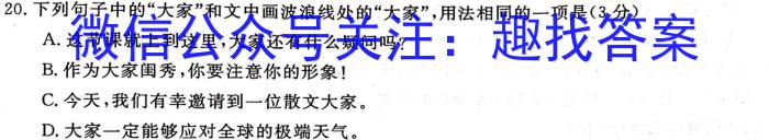 河北省2024届高三年级八月入学联考语文