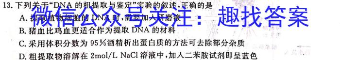 湖北圆创湖北省高中名校联盟2024届新高三第一次联合测评生物试卷答案