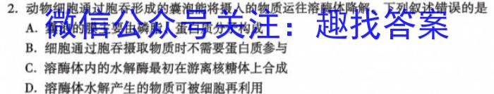 河北省2022-2023学年六校联盟高二年级下学期期末联考(232824D)生物试卷答案