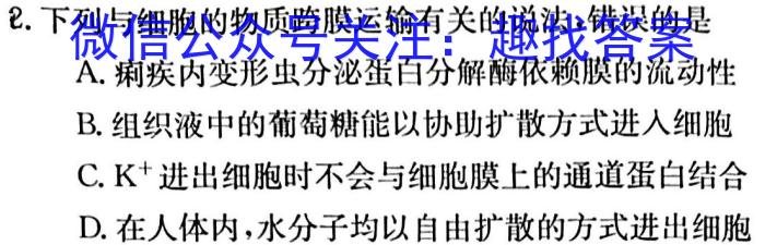 全国名校大联考·2023~2024学年高三第一次联考(XGK)生物
