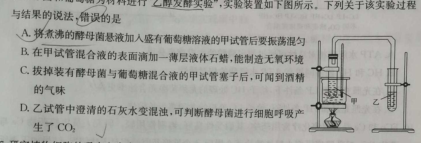 河南省漯河市高级中学2023-2024学年高三上学期开学摸底考试生物