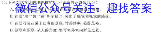 凉山州2024-2023学年度高二下期期末检测试卷(7月)语文