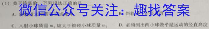 ［包头二模］2024年普通高等学校招生全国统一考试（第二次模拟考试）数学