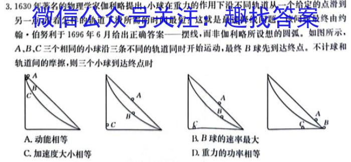 [阳光启学]2024届全国统一考试标准模拟信息卷(十)数学