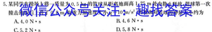 2024年普通高中考试模拟信息卷(一)1数学h