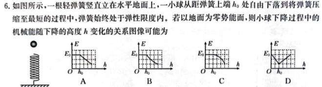 安徽省合肥市庐江县2024届九年级中考模拟4月联考数学.考卷答案