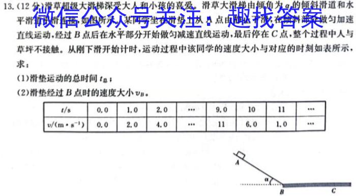 2024届山东省高三年级适应性联考（一）数学.