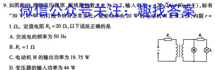 温州市普通高中2024届高三第一次适应性考试（11月）数学