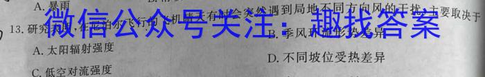 2024届陕西省榆林市“府、米、绥、横、靖”五校联考（232804Z）q地理