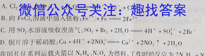河南2024届高三年级8月入学联考(23-10C)语文试卷及参考答案化学