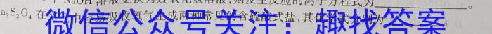 3炎德 英才大联考2024届高三暑假作业检测试卷(CJ)化学