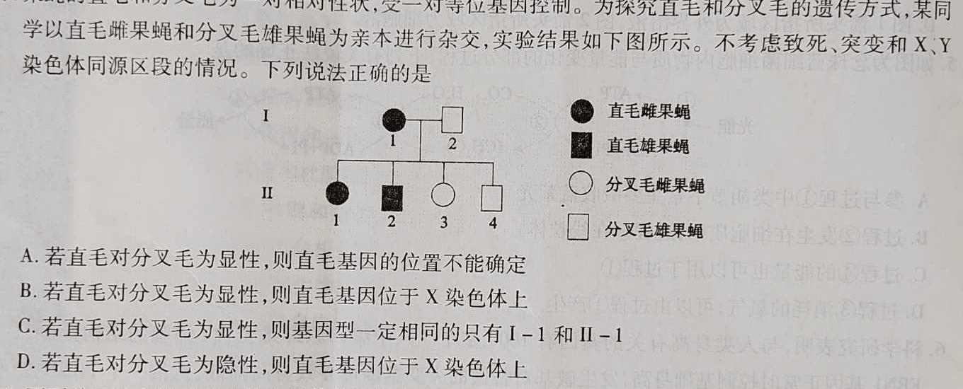凉山州2022-2023学年度七年级下期期末检测试卷生物