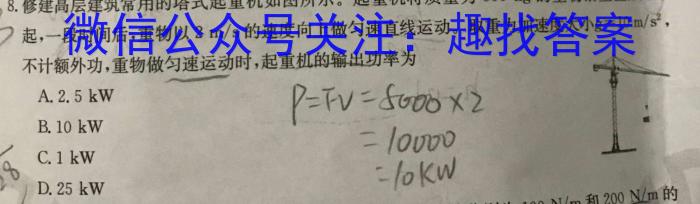 宜荆荆恩2025届高三9月起点考试(2024.9)数学