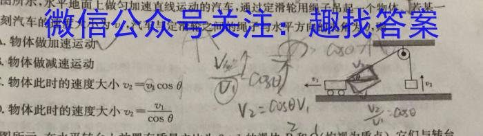 2024届高三年级T8联盟12月份八省联考数学