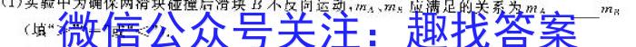 九师联盟·2024届高三10月质量检测巩固卷(新教材-LG）数学