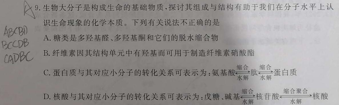 广东省2023-2024学年高三质量检测(一)化学