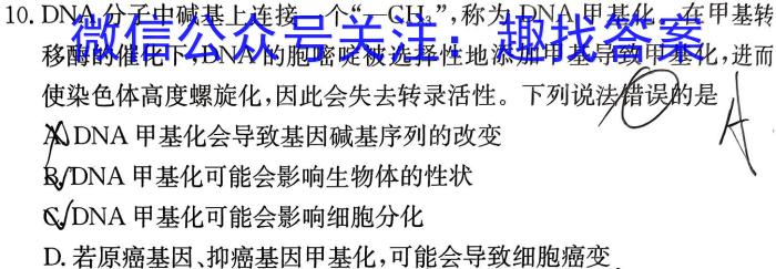 全国大联考2024届高三全国第一次联考 1LK-Y生物试卷答案