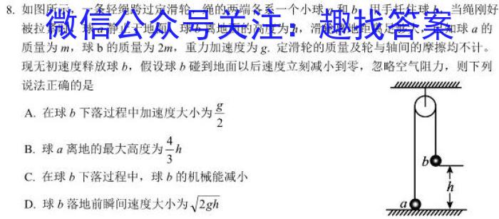 辽宁省名校联盟2023-2024学年高二上学期8月联合考试数学.