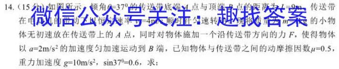 安徽省2023-2024学年七年级混合考试（1.18）数学