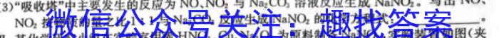 2024届高考滚动检测卷 新教材(六)化学
