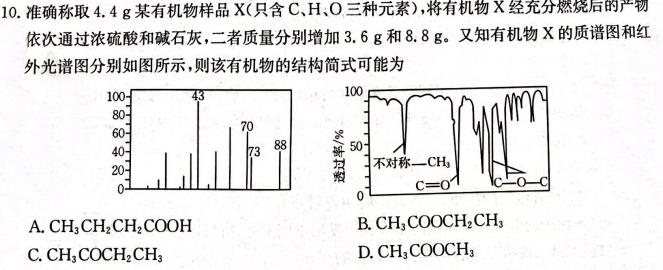 2024届高考滚动检测卷 新教材(六)化学