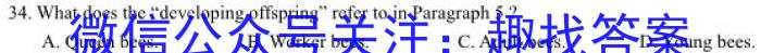 安徽省合肥市肥东县2022-2023学年第二学期七年级阶段性学情调研英语试题