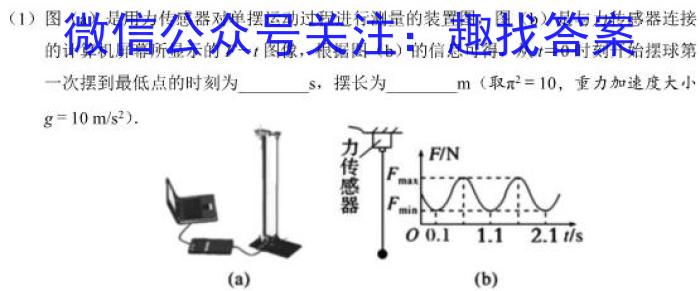 全国大联考2024届高三全国第一次联考 1LK-QG.物理