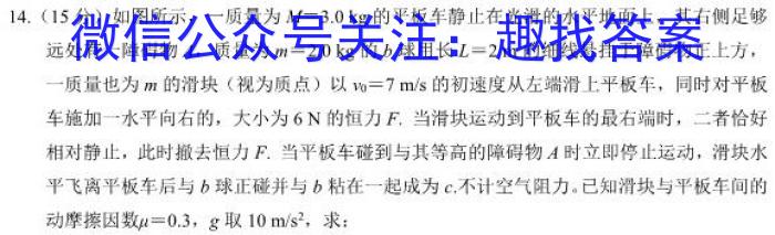 2024年学考总复习·试题猜想·九年级（四）数学