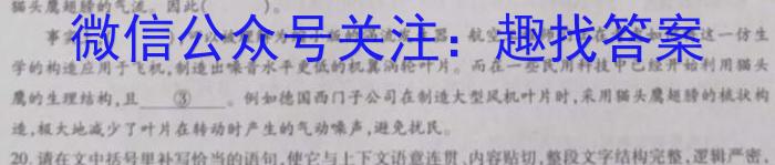2024届名师原创分科模拟 新S4(一)语文