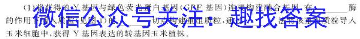 河南省2024届高三年级八月名校联合考试生物