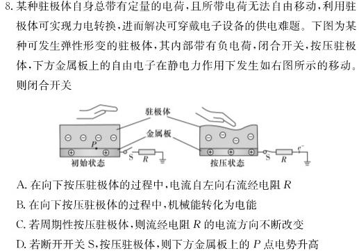 四川省攀枝花市2024届高三第三次统一考试(2024.04)数学.考卷答案