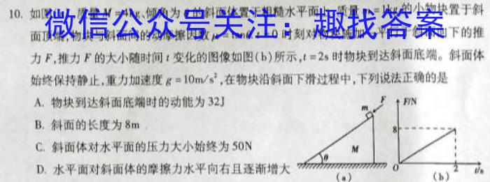 鼎成大联考2024年河南省普通高中招生考试（一）英语