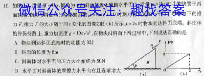 广东省2023-2024学年高三质量检测(一)f物理