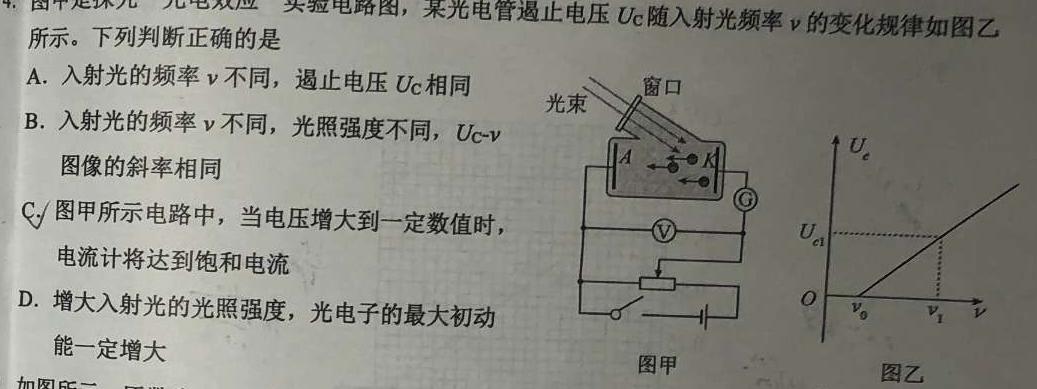 河南2024届高三年级8月入学联考（23-10C）生物试卷及参考答案-物理