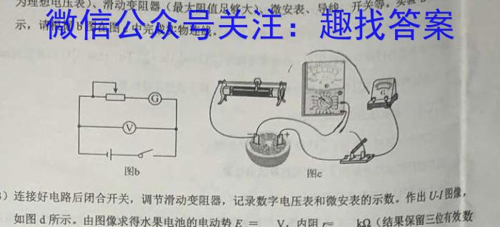 浙江强基联盟2024年5月联考（高二）数学