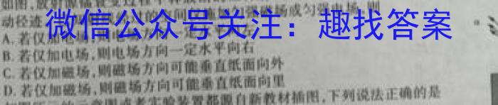 安徽省2024年第二学期九年级4月考试英语