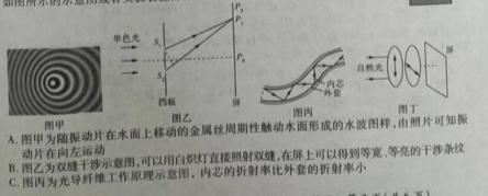 安徽省2023-2024学年七年级上学期期末教学质量调研(1月)数学.考卷答案